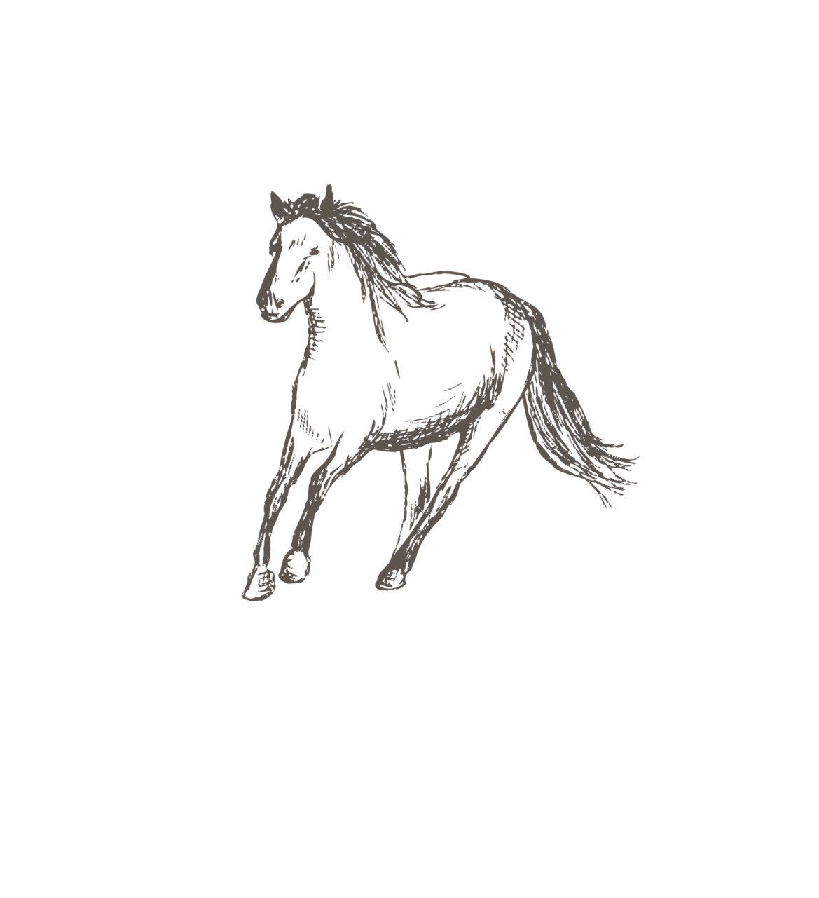 POUR TON CHEVAL